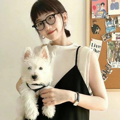战火迷情